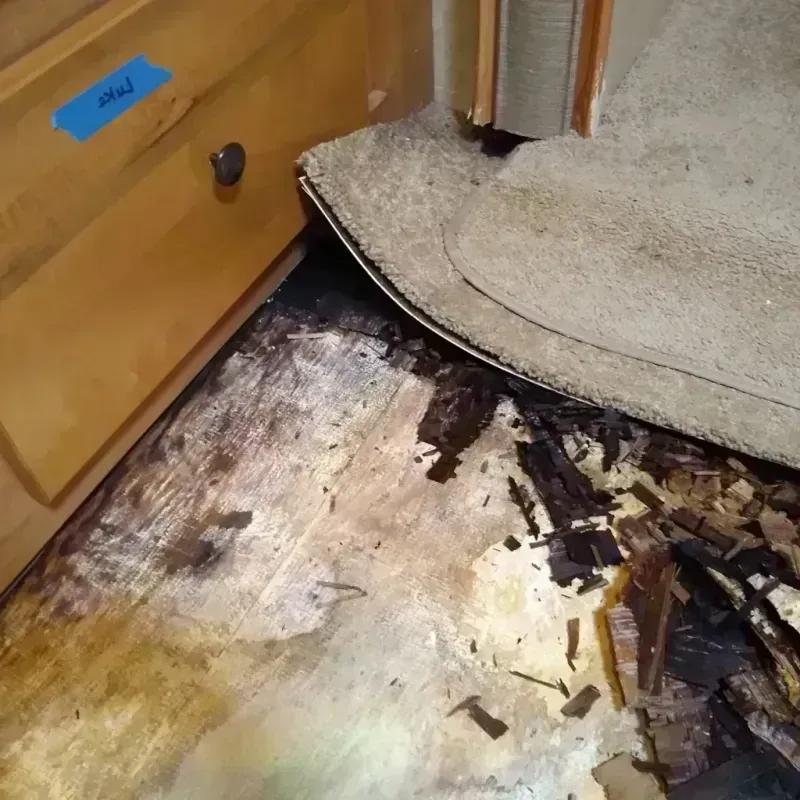 Best Wood Floor Water Damage Service in Cold Springs, NV